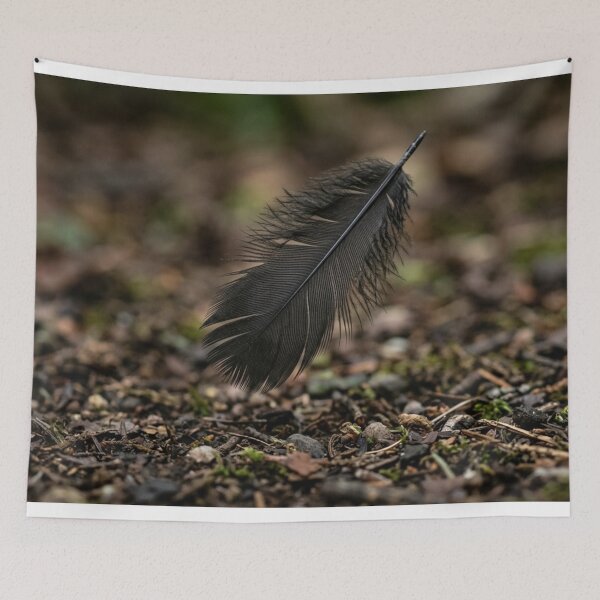 Item preview, Black feather about to fall to the ground designed and sold by Malisa345.