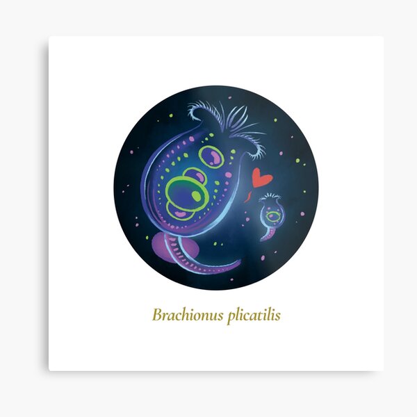 The Circles of Life: Brachionus plicatilis Metal Print