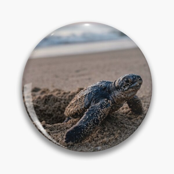 Item preview, Baby sea turtle emerging from the sand designed and sold by Malisa345.