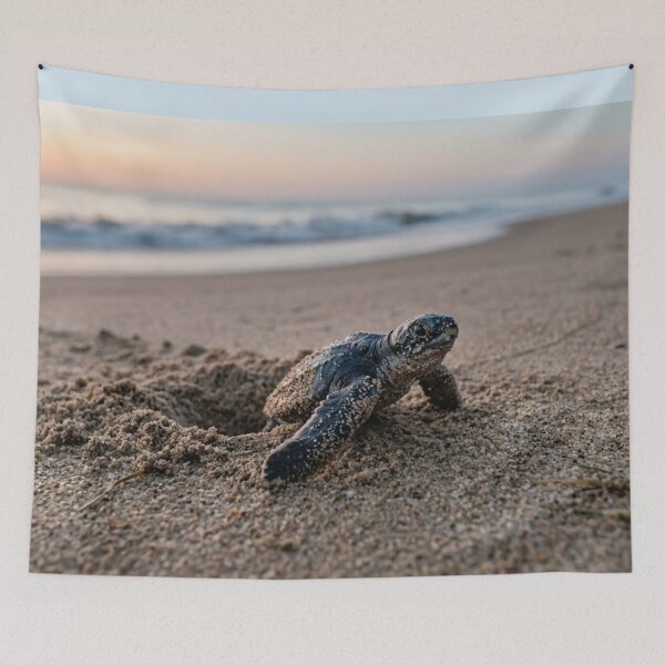Item preview, Baby sea turtle emerging from the sand designed and sold by Malisa345.