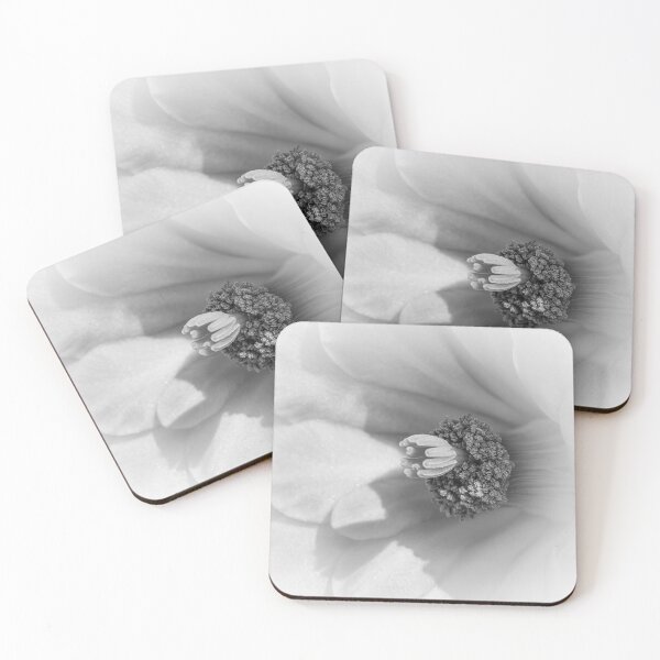 Item preview, Cactus Bloom Macro B/W  Soft As Cotton designed and sold by Strata Gems.