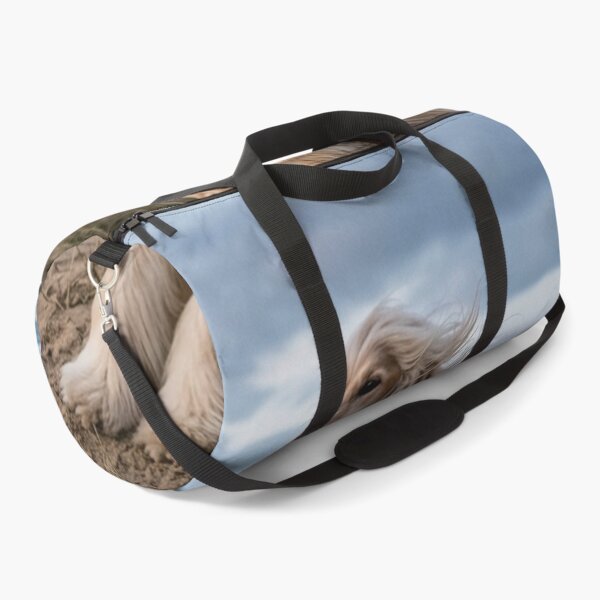 Item preview, Long-haired dog sitting in the wind. designed and sold by Malisa345.