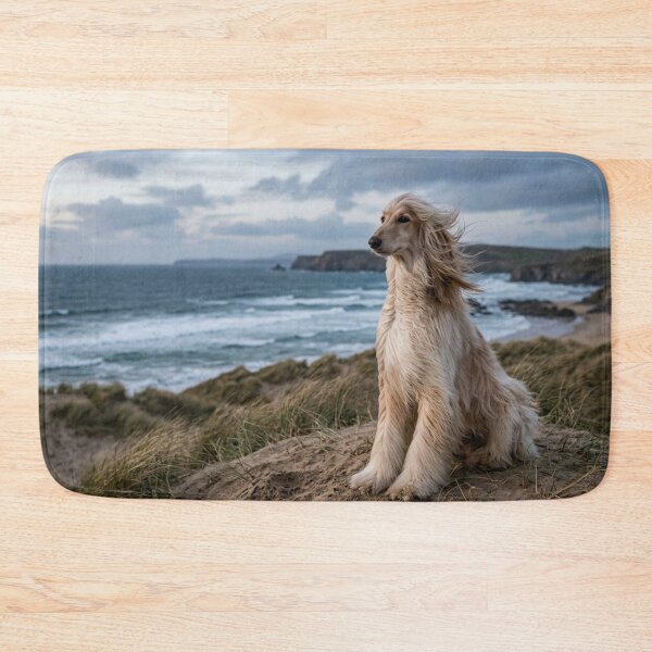 Item preview, Long-haired dog sitting in the wind. designed and sold by Malisa345.