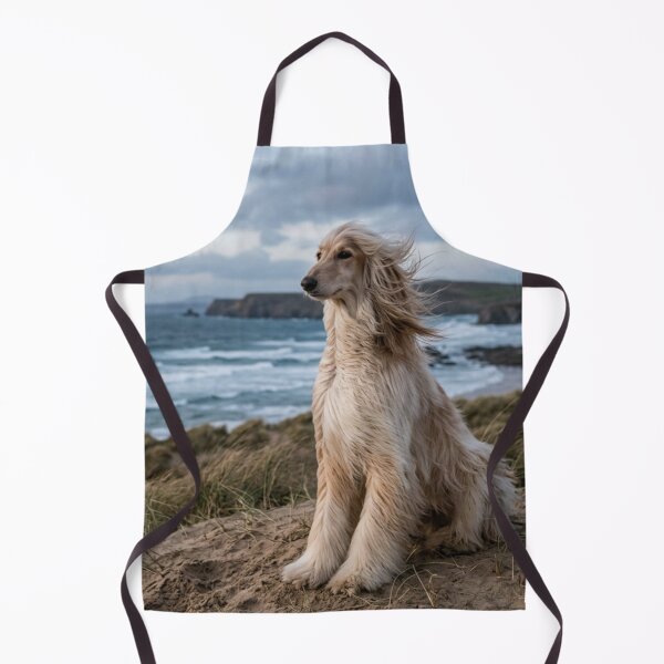 Item preview, Long-haired dog sitting in the wind. designed and sold by Malisa345.