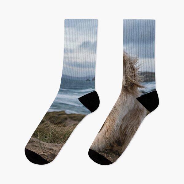Item preview, Long-haired dog sitting in the wind. designed and sold by Malisa345.