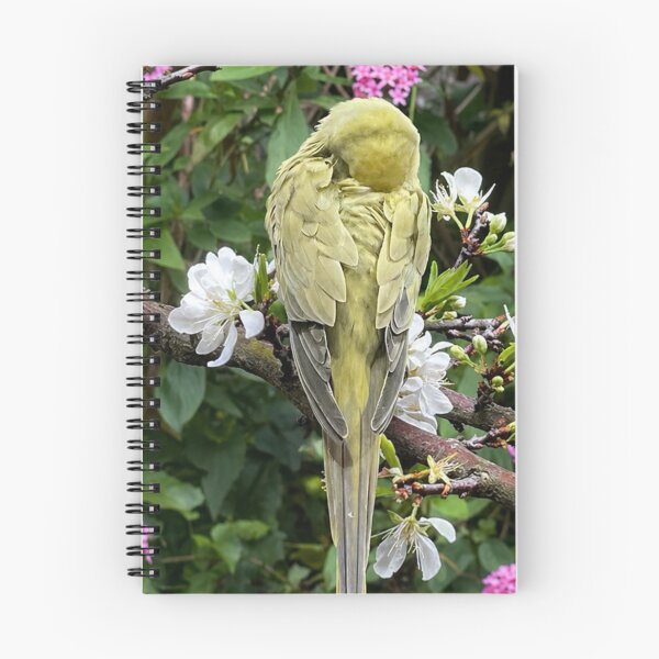 Item preview, "Rose-ringed Parakeet-1" designed and sold by 微光印 Little Glow Print.