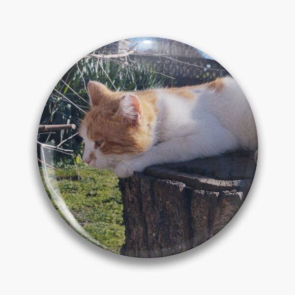 Item preview, Cute Ginger and White Kitten on Wooden Stump designed and sold by inspiration3.