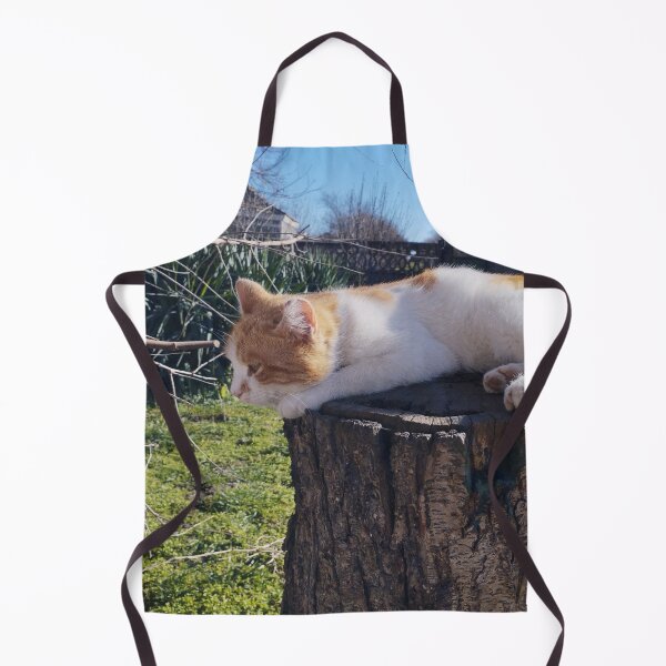 Item preview, Cute Ginger and White Kitten on Wooden Stump designed and sold by inspiration3.
