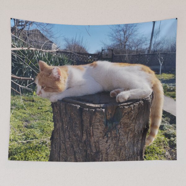 Item preview, Cute Ginger and White Kitten on Wooden Stump designed and sold by inspiration3.