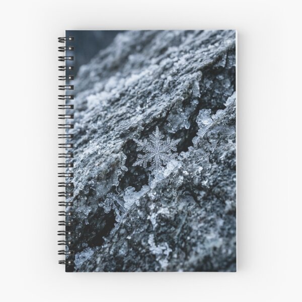 Item preview, Snowflake stuck in a crack in cold stone. designed and sold by Malisa345.