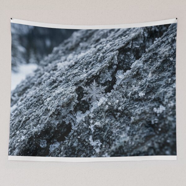 Item preview, Snowflake stuck in a crack in cold stone. designed and sold by Malisa345.