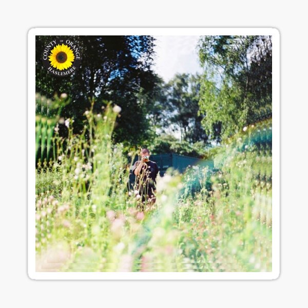 Rex Orange County (Sunflower) Sticker