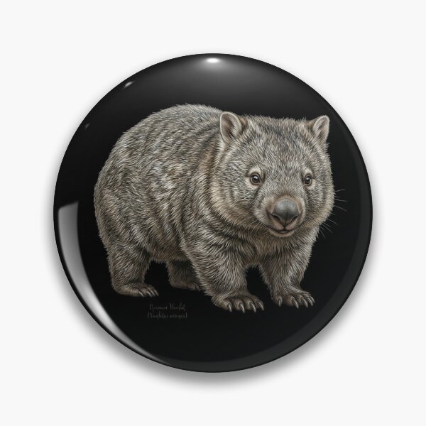 Item preview, The Outback Bulldozer: Common Wombat (Vombatus ursinus) designed and sold by FreiherrPK.