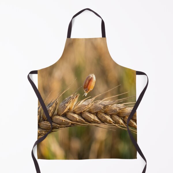 Item preview, A strand of wheat with a grain that is beginning to detach. designed and sold by Malisa345.