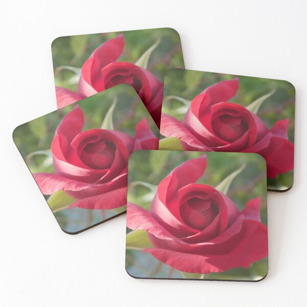 Item preview, Rose one day, rose always designed and sold by MirelleHDB.