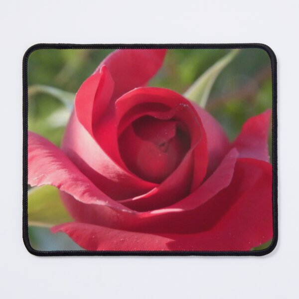 Item preview, Rose one day, rose always designed and sold by MirelleHDB.