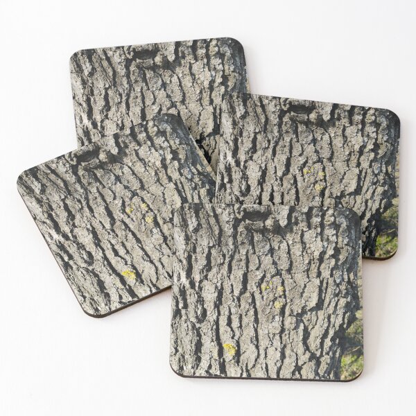 Item preview, Sunlit Tree Bark Close-Up designed and sold by inspiration3.