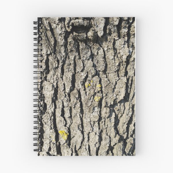 Item preview, Sunlit Tree Bark Close-Up designed and sold by inspiration3.