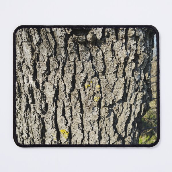 Item preview, Sunlit Tree Bark Close-Up designed and sold by inspiration3.