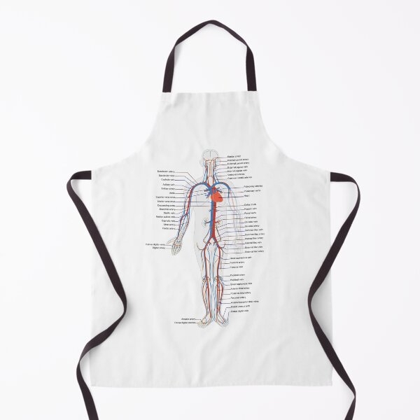 Item preview, Circulatory System Medical Anatomy Arteries Veins designed and sold by Vintagemashup.