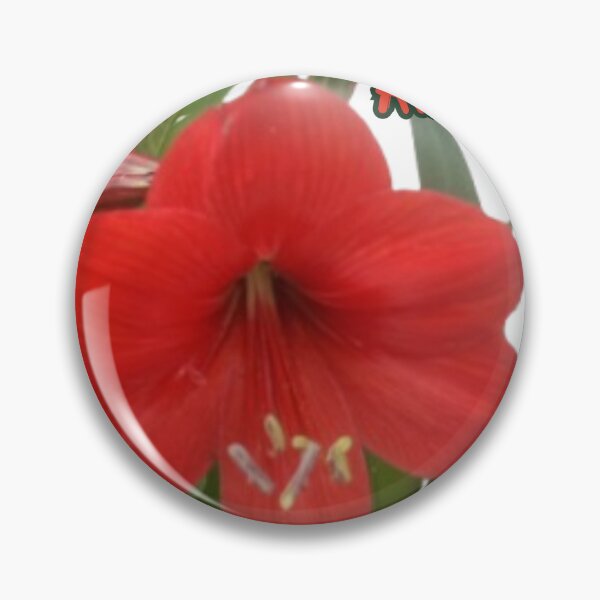 Item preview, Red Amaryllis designed and sold by RaPaRoSe.