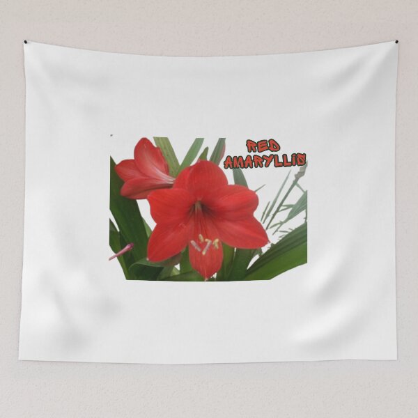 Item preview, Red Amaryllis designed and sold by RaPaRoSe.