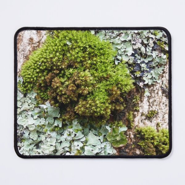 Item preview, Mossy Loveliness designed and sold by Pebbles on the Beach.