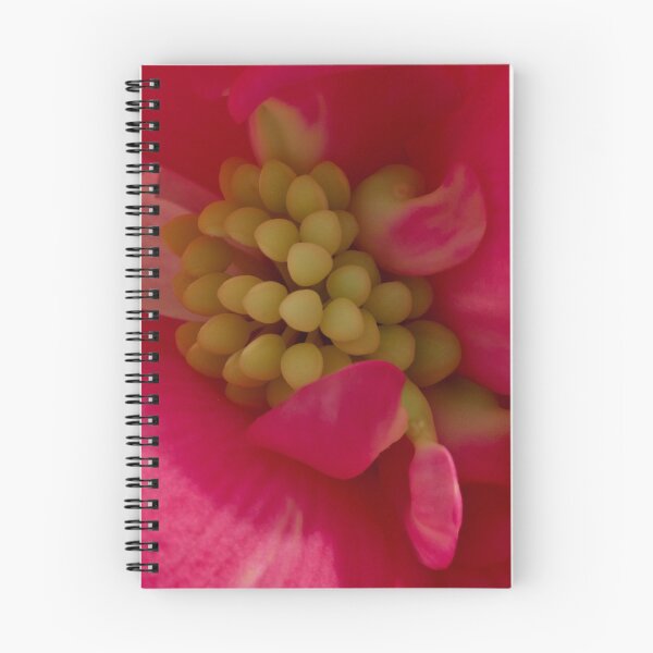 Item preview, Pink Begonia Stamen - Macro designed and sold by Sandra Foster.