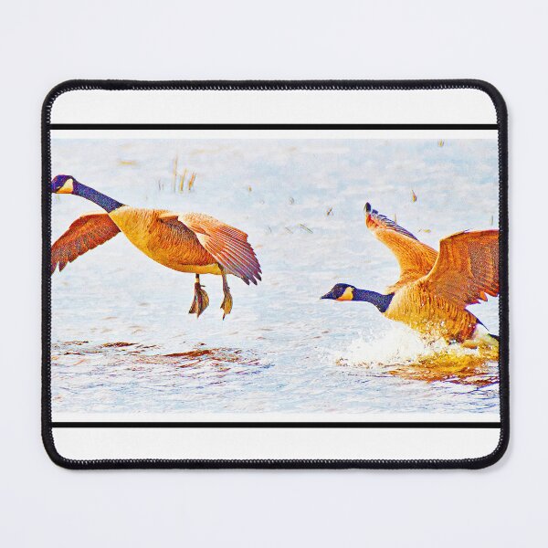 Item preview, Canada Geese Landing in a Salt Marsh designed and sold by AMacGPhilly.