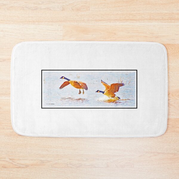 Item preview, Canada Geese Landing in a Salt Marsh designed and sold by AMacGPhilly.