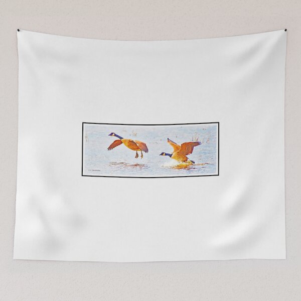 Item preview, Canada Geese Landing in a Salt Marsh designed and sold by AMacGPhilly.