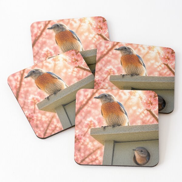 Item preview, Bluebird Spring Nest – Blossom Season Family Moment designed and sold by Kimberly Palmer.