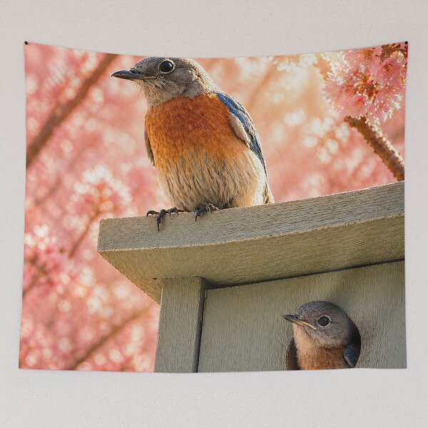 Item preview, Bluebird Spring Nest – Blossom Season Family Moment designed and sold by Kimberly Palmer.