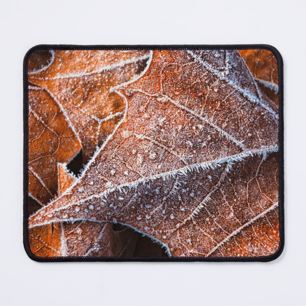 Item preview, Frosted Autumn designed and sold by Jim Love.