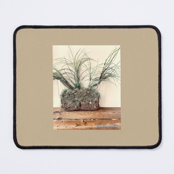 Item preview, My Grass. Cream. designed and sold by TouchofVelvet.