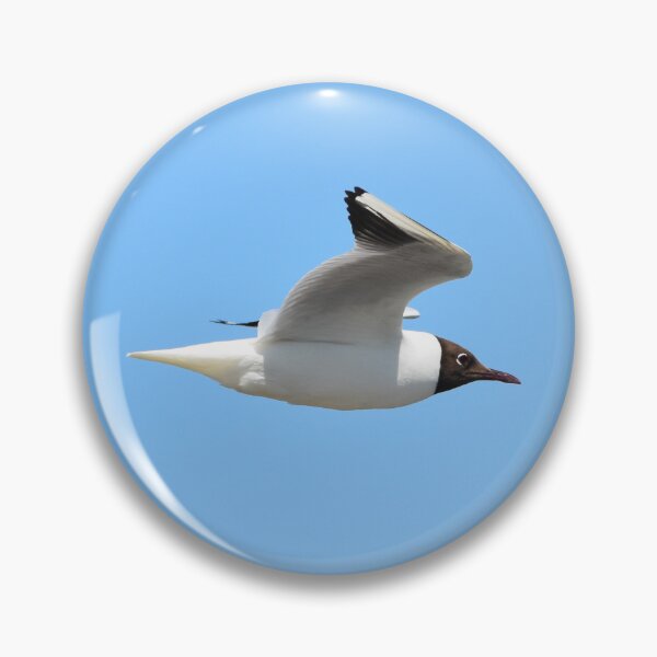 Item preview, Black-Headed Gull Soaring Against Clear Blue Sky designed and sold by Shanguai.