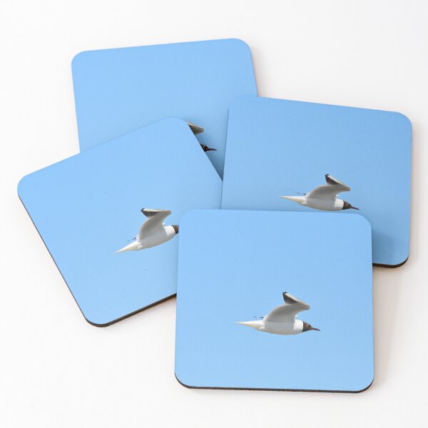 Item preview, Black-Headed Gull Soaring Against Clear Blue Sky designed and sold by Shanguai.