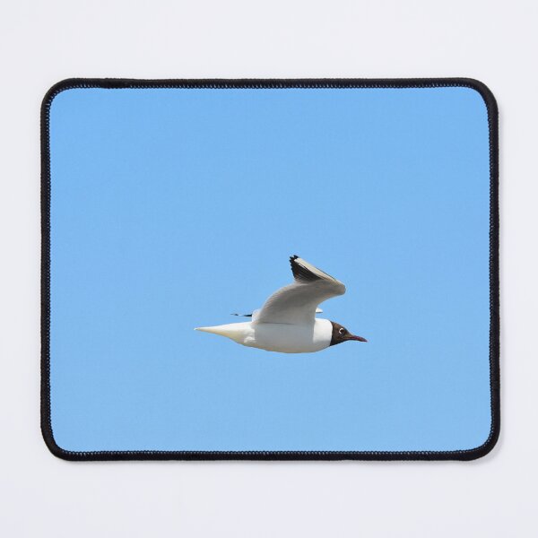 Item preview, Black-Headed Gull Soaring Against Clear Blue Sky designed and sold by Shanguai.