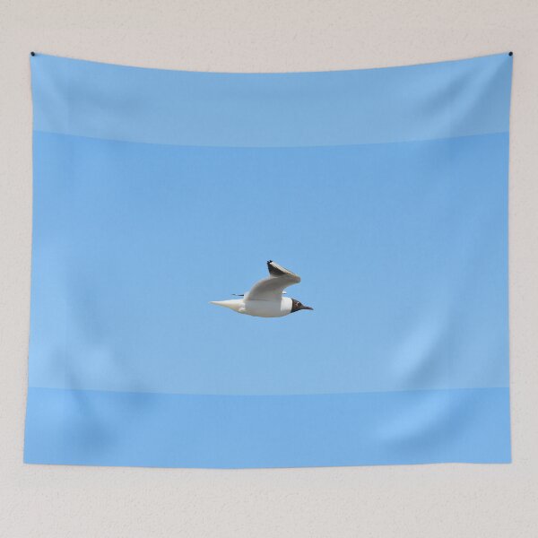 Item preview, Black-Headed Gull Soaring Against Clear Blue Sky designed and sold by Shanguai.