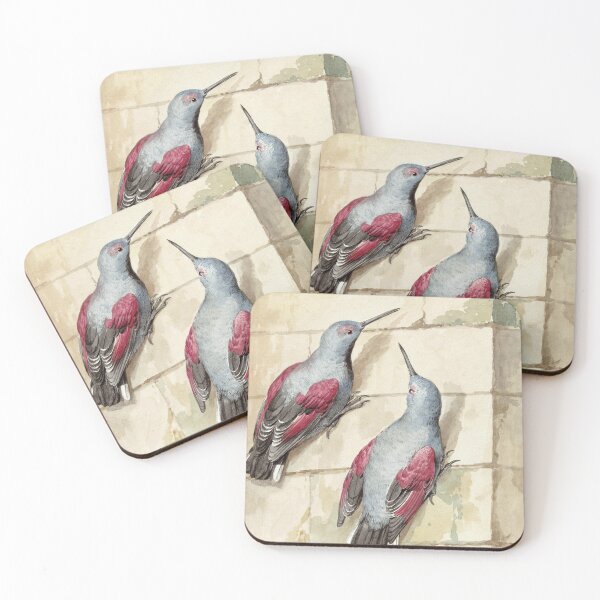 Item preview, Two rock creepers, blue and purple, on a wall | Aert Schouman designed and sold by LaMadeleine.
