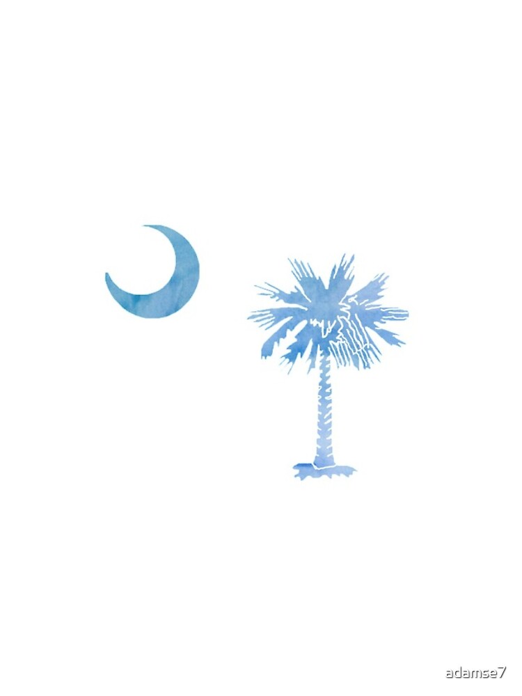South Carolina Flag by adamse7