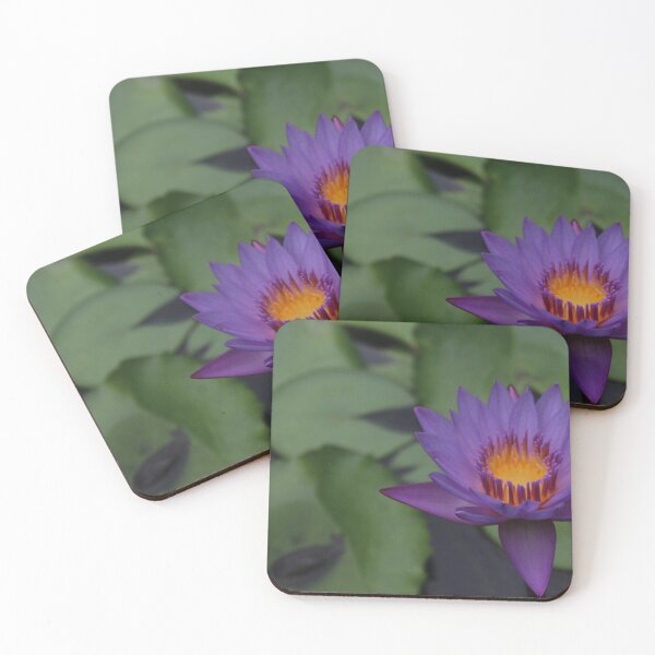 Item preview, Lotus flower - Nature photography  designed and sold by Cha-s-lens.