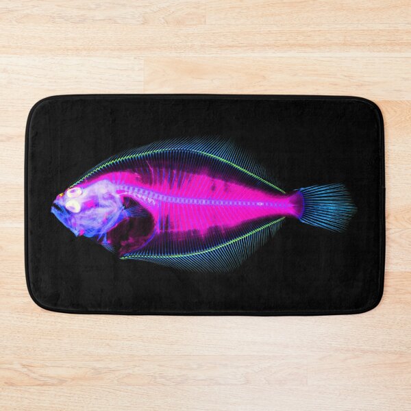 Item preview, Summer Flounder designed and sold by NoahwithFish.