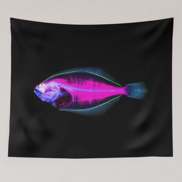 Item preview, Summer Flounder designed and sold by NoahwithFish.