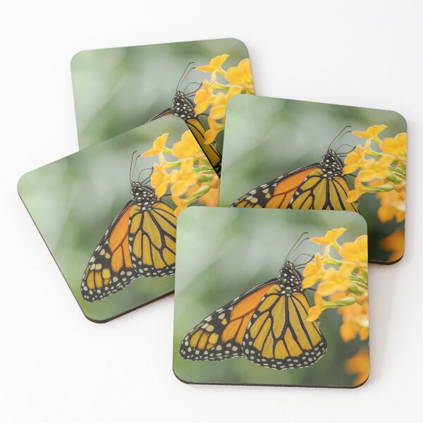 Item preview, Monarch Butterfly designed and sold by MS.photo.
