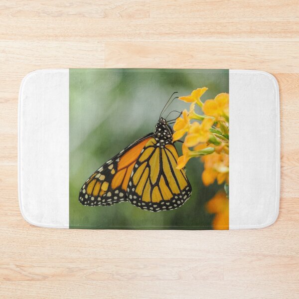 Item preview, Monarch Butterfly designed and sold by MS.photo.