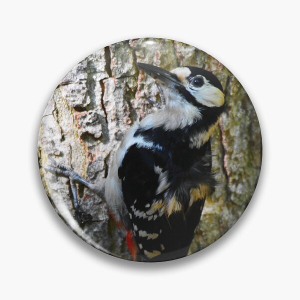 Item preview, Male Great Spotted Woodpecker Clinging to Tree Bark designed and sold by Shanguai.