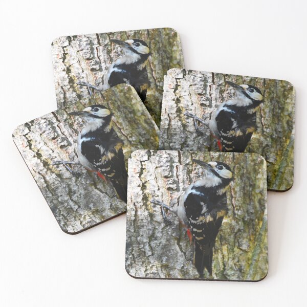Item preview, Male Great Spotted Woodpecker Clinging to Tree Bark designed and sold by Shanguai.