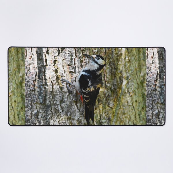 Item preview, Male Great Spotted Woodpecker Clinging to Tree Bark designed and sold by Shanguai.