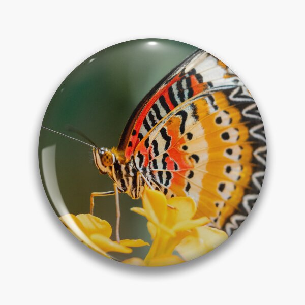 Item preview, Cethosia butterfly designed and sold by MS.photo.
